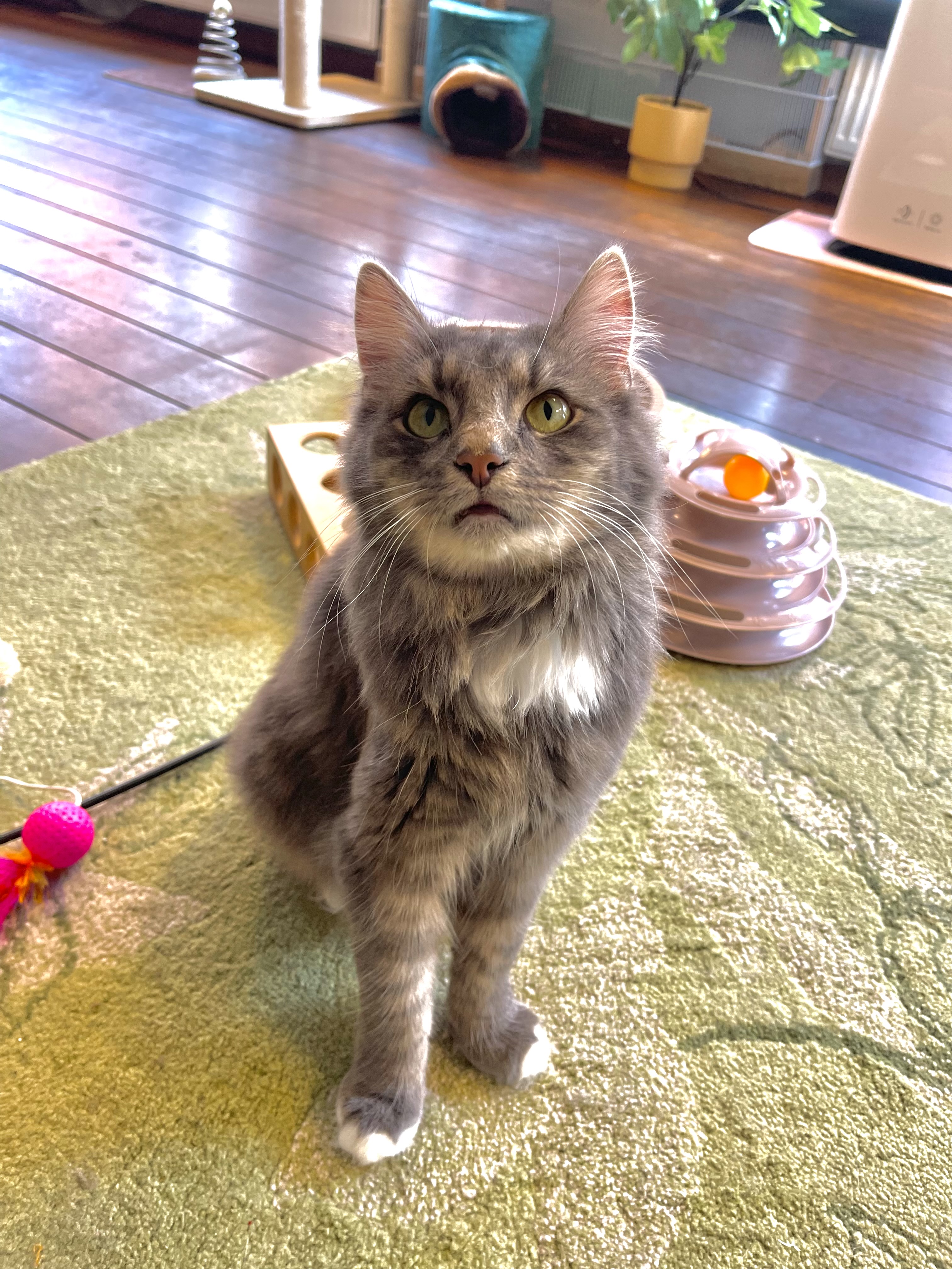 Oliver